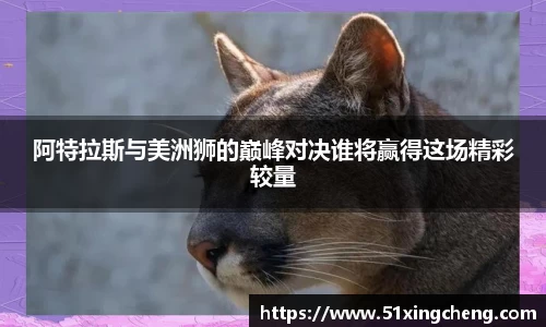 必一体育