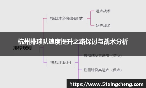 杭州排球队速度提升之路探讨与战术分析